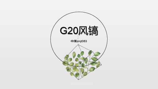 十一-G20风镐