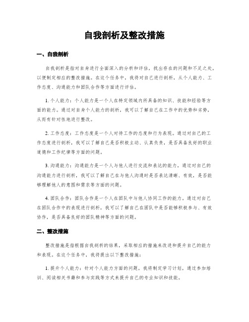 自我剖析及整改措施