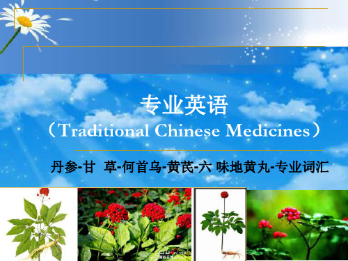 《中药学专业英语Traditional-Chinese-Medicines》