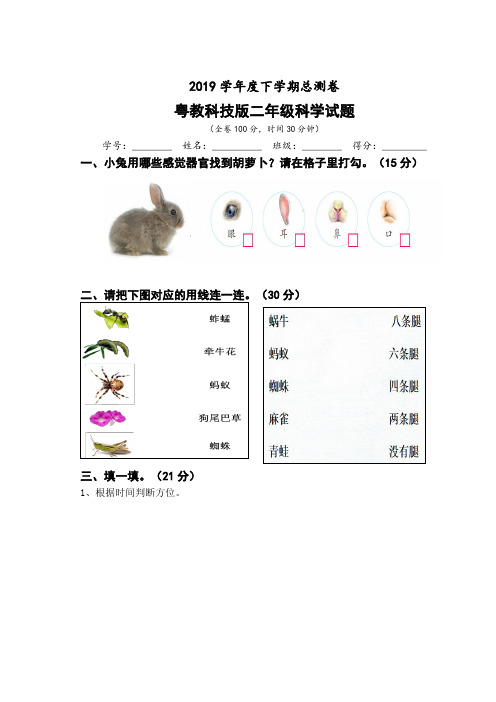 二年级下册科学试卷-期末   粤教版(无答案)