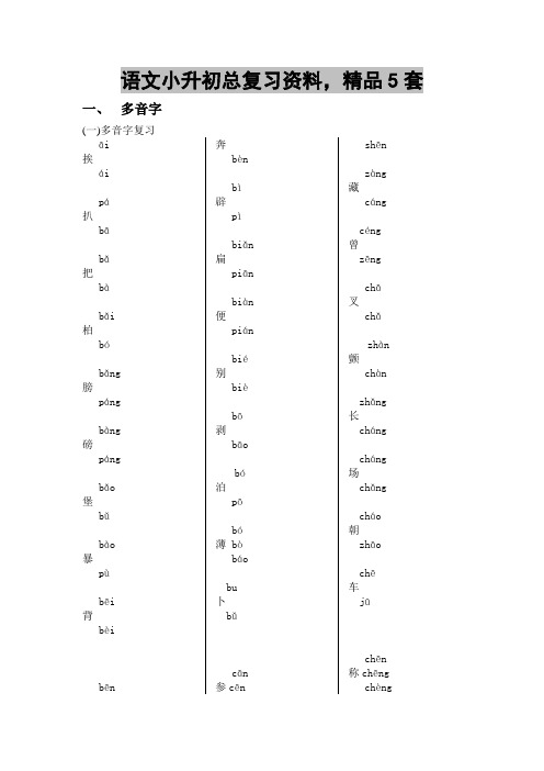 语文小升初总复习资料,精品5套