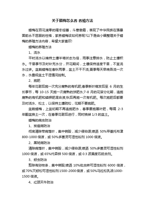 关于腊梅怎么养养殖方法