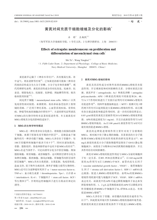 黄芪对间充质干细胞增殖及分化的影响