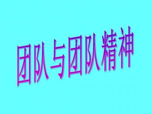 团队与团队精神