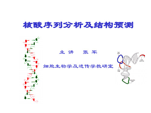 转录剪切位点