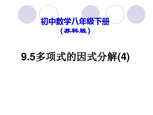 9.5多项式的因式分解(4)