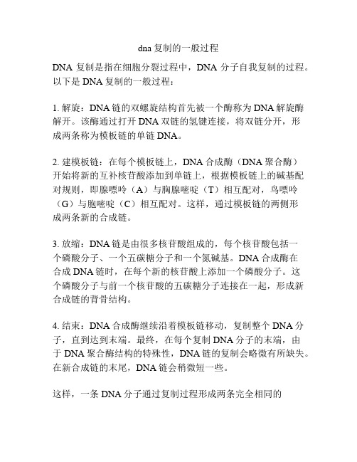 dna复制的一般过程