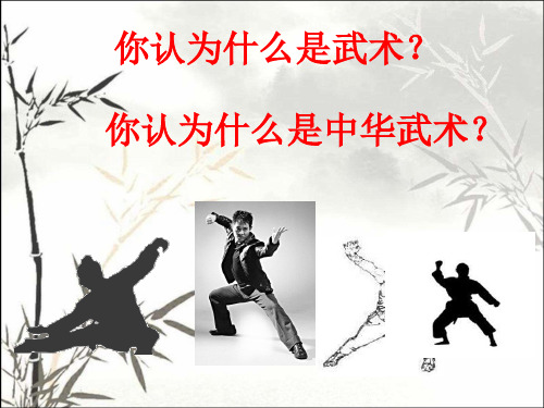 中华武术魅力无穷 PPT