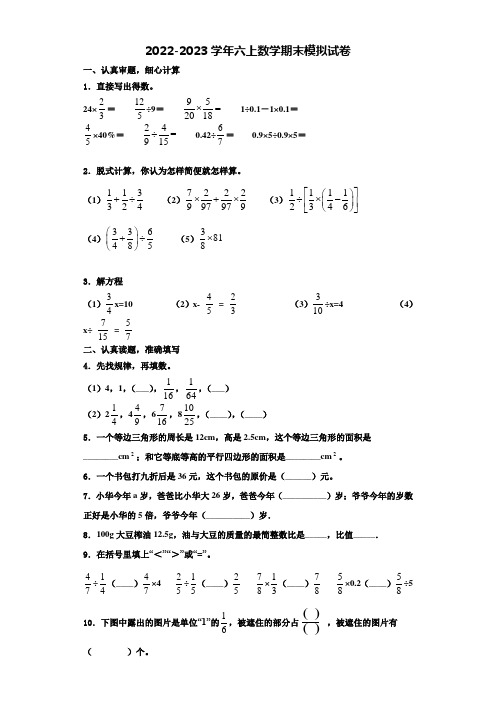 浙江省南平市2022-2023学年数学六上期末考试模拟试题含解析