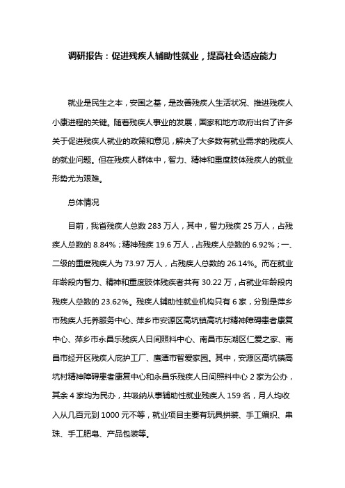 调研报告：促进残疾人辅助性就业,提高社会适应能力