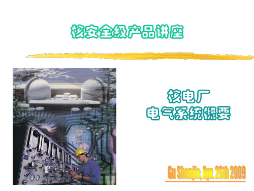 核电厂电气系统 特点 AP1000简介