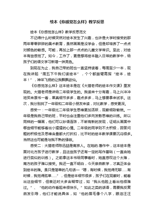 绘本《你感觉怎么样》教学反思范文