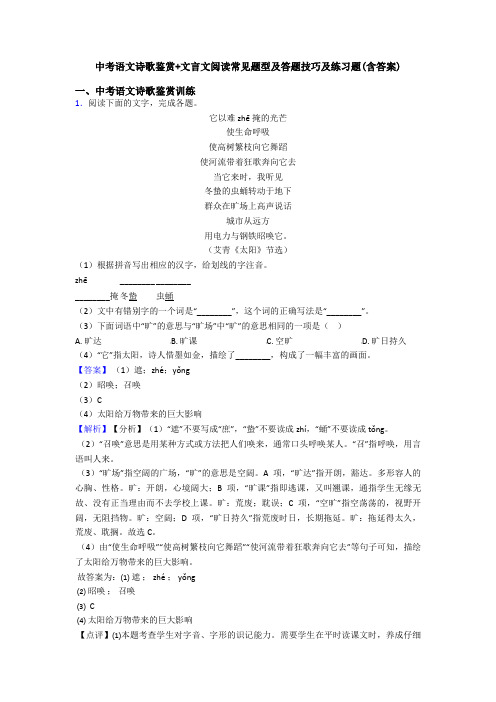 中考语文诗歌鉴赏+文言文阅读常见题型及答题技巧及练习题(含答案)