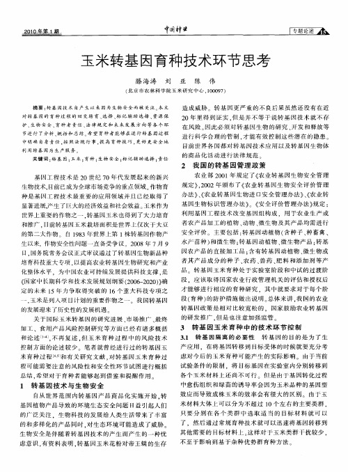 玉米转基因育种技术环节思考
