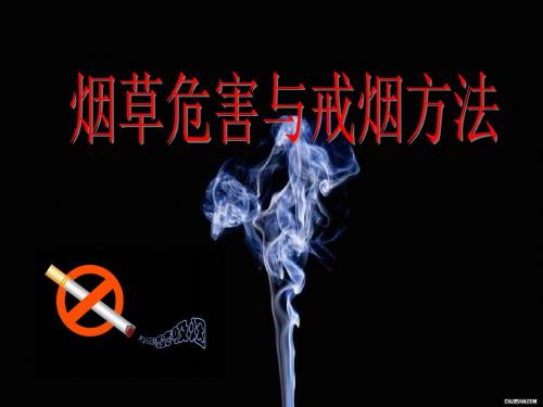 烟草危害与戒烟方法