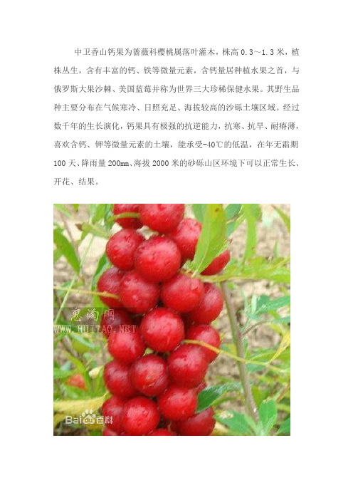 中卫香山硒砂瓜姊妹篇 -  硒砂钙果王介绍