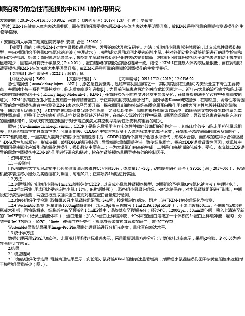 顺铂诱导的急性肾脏损伤中KIM-1的作用研究