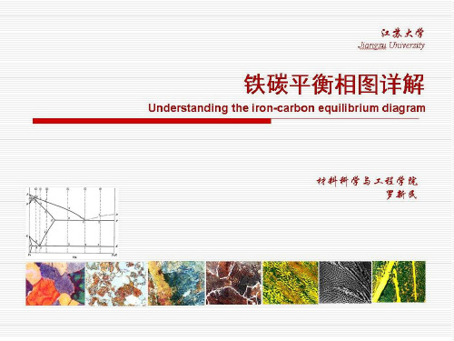 铁碳平衡相图详解 ppt课件