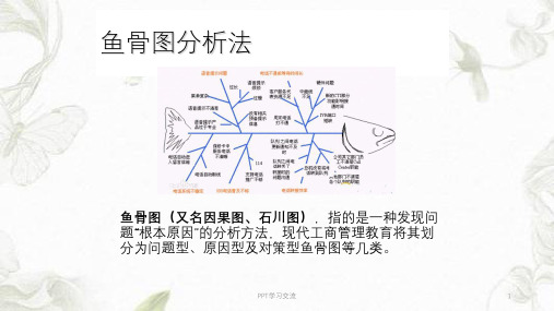 鱼骨图分析法(鱼骨图模板)PPT课件