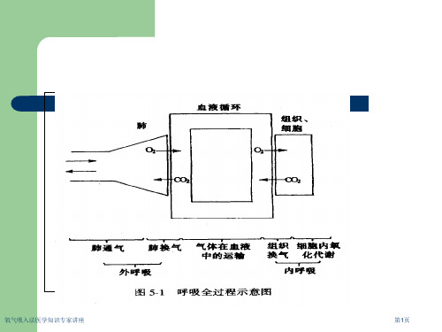 氧气吸入法医学知识专家讲座