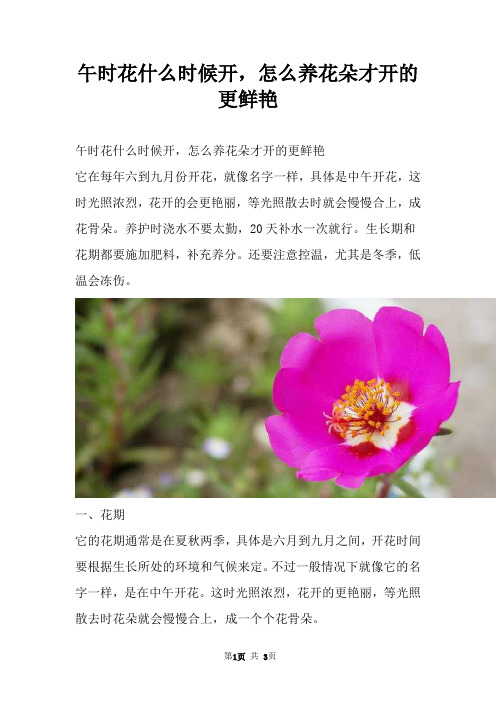 午时花什么时候开，怎么养花朵才开的更鲜艳