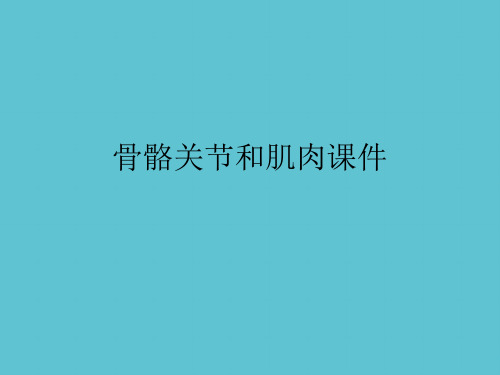 【完整】骨骼关节和肌肉资料PPT