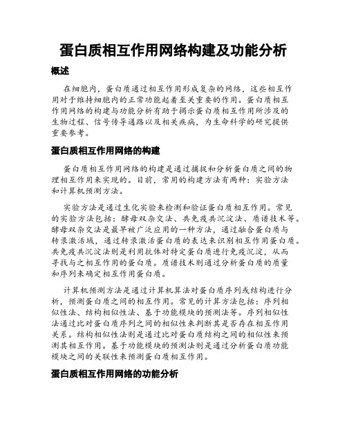 蛋白质相互作用网络构建及功能分析