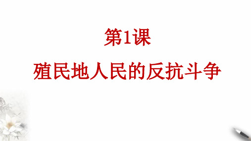 (部编)《殖民地人民的反抗斗争》ppt优质课件