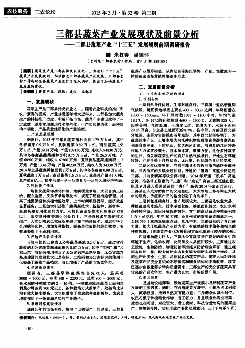 三都县蔬菜产业发展现状及前景分析——三都县蔬菜产业“十三五”