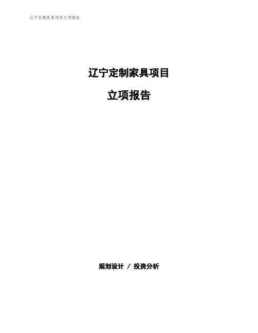 辽宁定制家具项目立项报告