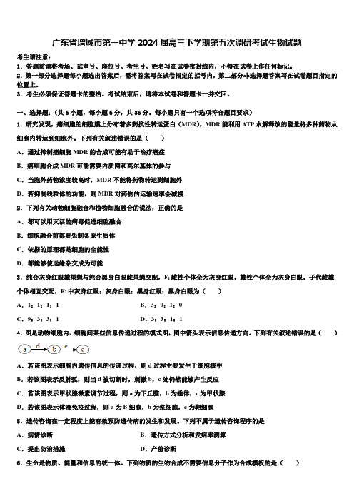 广东省增城市第一中学2024届高三下学期第五次调研考试生物试题含解析