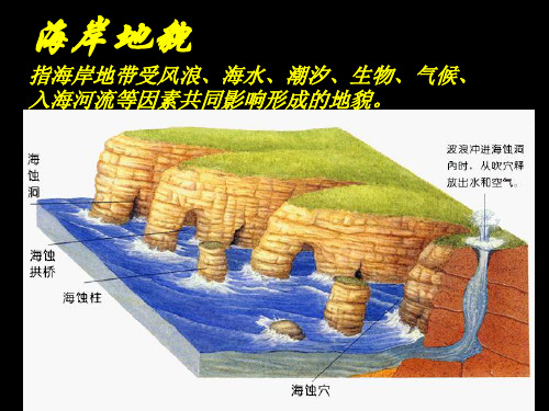 上海高一地理(地图出版社)讲义(专题7)地貌：海岸地貌