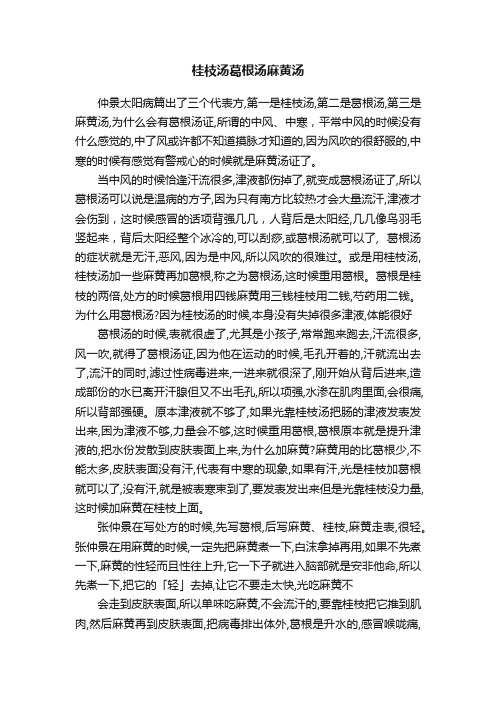 桂枝汤葛根汤麻黄汤