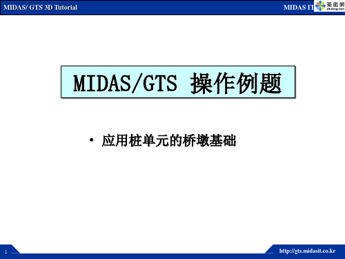 midas桩土接触PPT实例.ppt