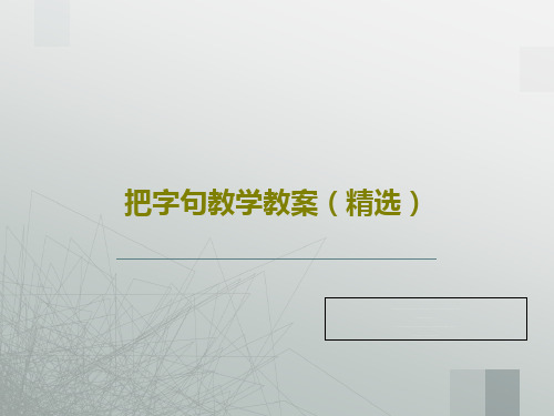 把字句教学教案(精选)PPT共16页