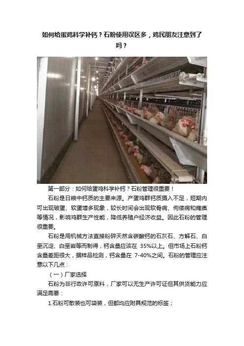 如何给蛋鸡科学补钙？石粉使用误区多，鸡民朋友注意到了吗？