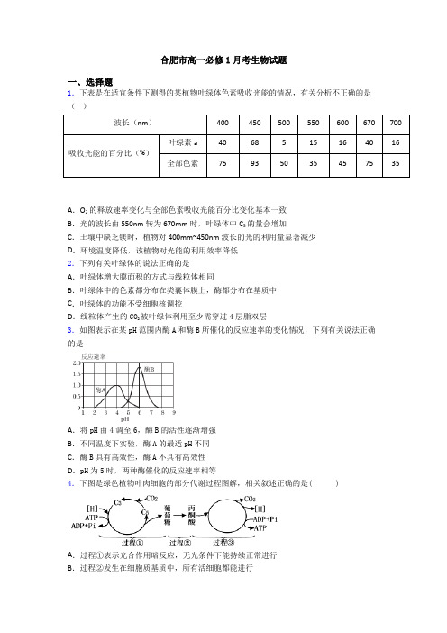 合肥市高一必修1月考生物试题