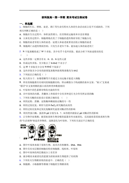 浙科版高一第一学期 期末考试生物试卷