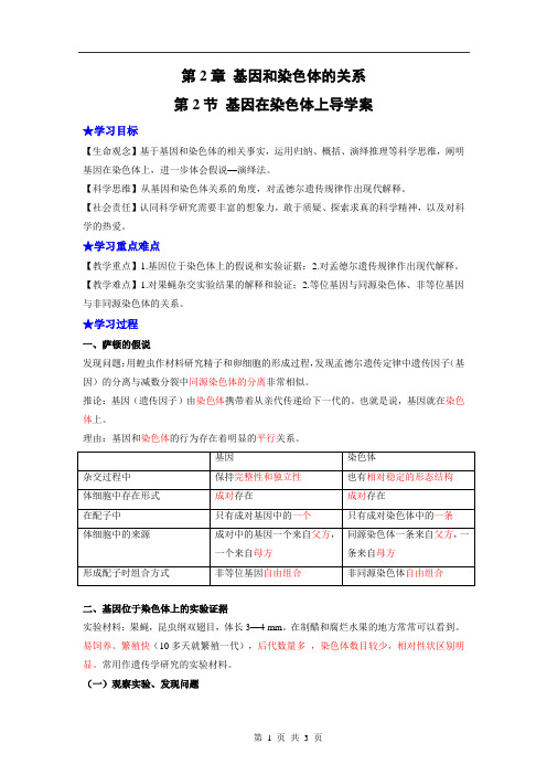 高一生物导学案基因在染色体上人教版2019必修2