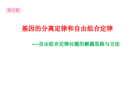 自由组合定律问题的解题思路与方法