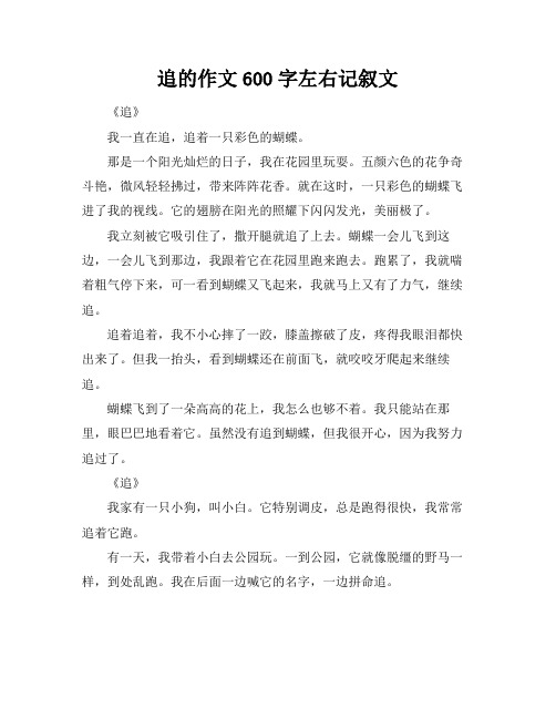 追的作文600字左右记叙文