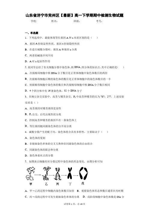 2020-2021学年高一下学期期中检测生物试题含答案解析