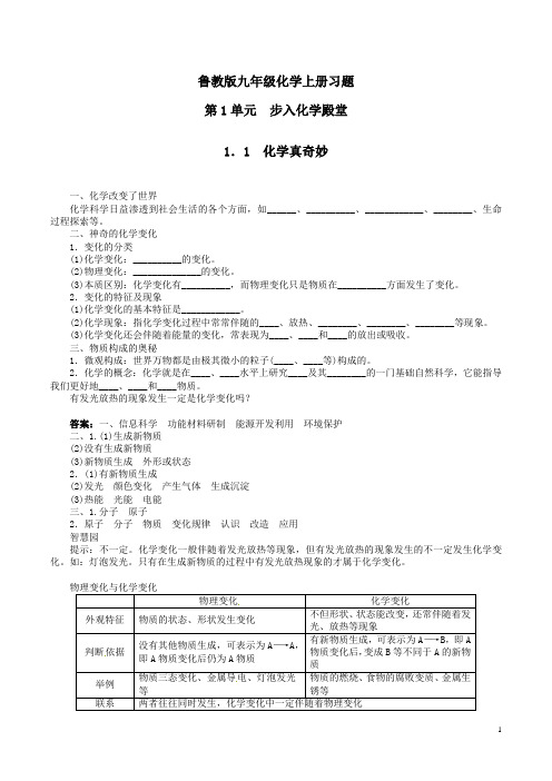 【鲁教版九年级化学上册】第1单元步入化学殿堂习题