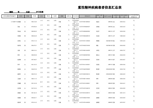 重性精神疾病患者信息汇总表