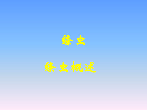 绦虫