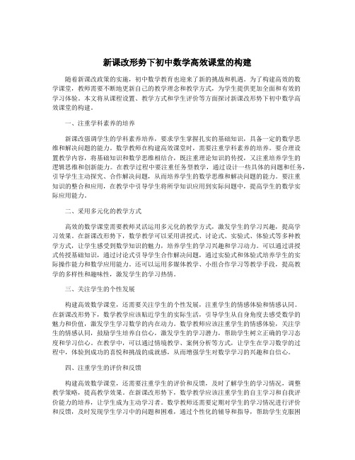 新课改形势下初中数学高效课堂的构建