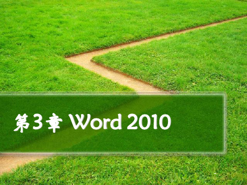 第3章word2010