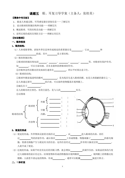 眼导学案