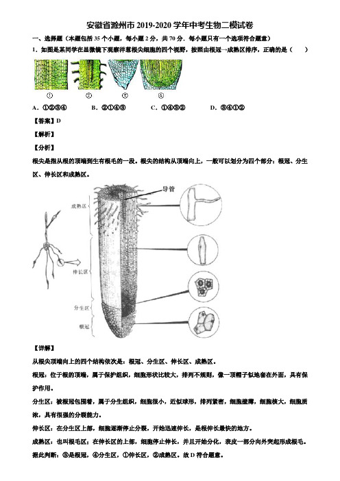 安徽省滁州市2019-2020学年中考生物二模试卷含解析