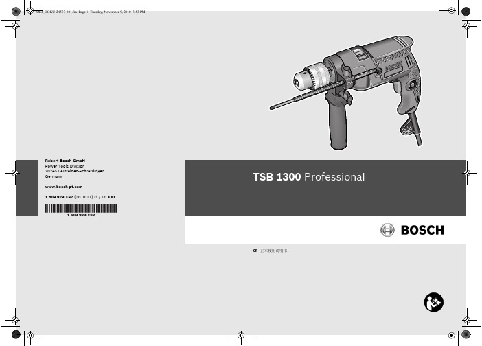 TSB 1300 Professional 说明书